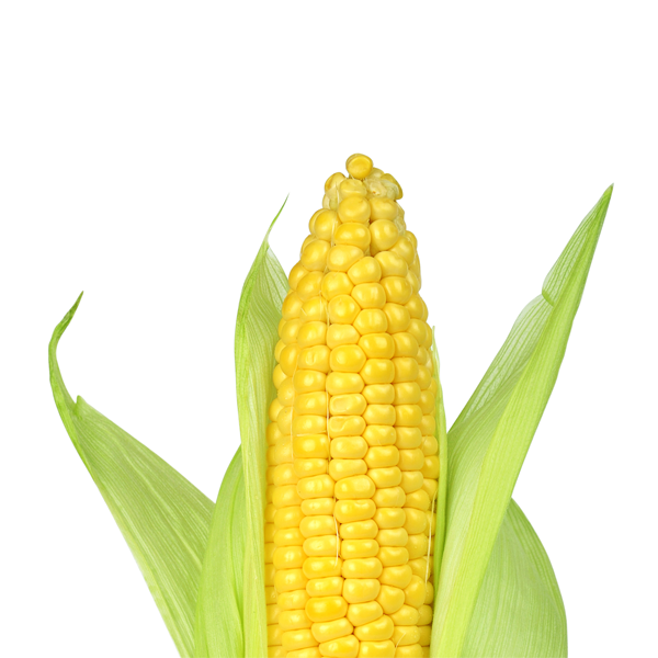 Corn