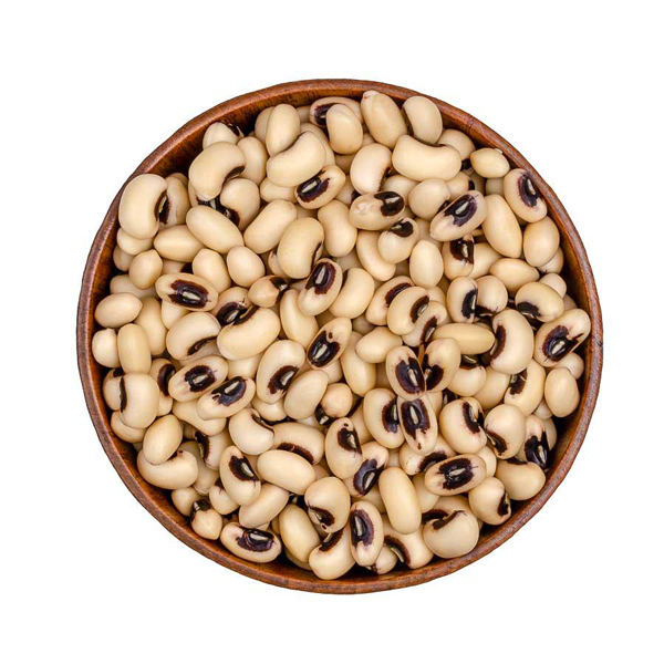 Cowpea